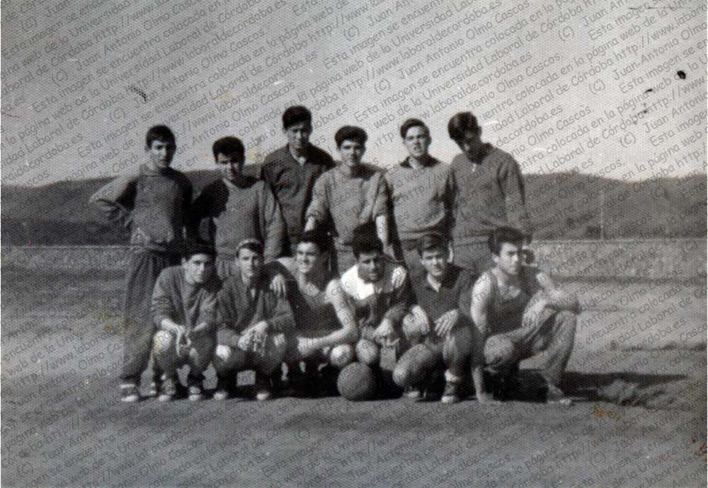 Imagen de la galería