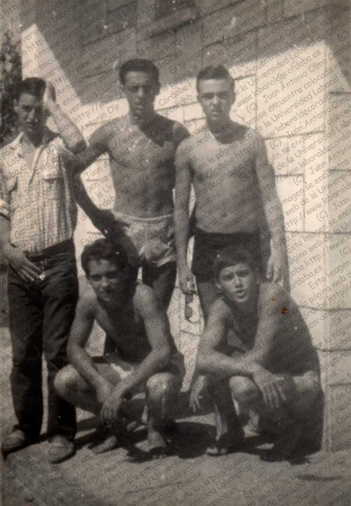 Imagen de la galería