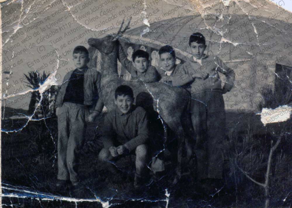 Imagen de la galería