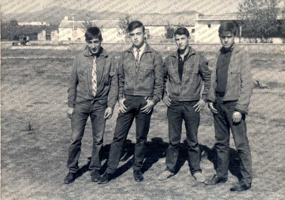 Imagen de la galería