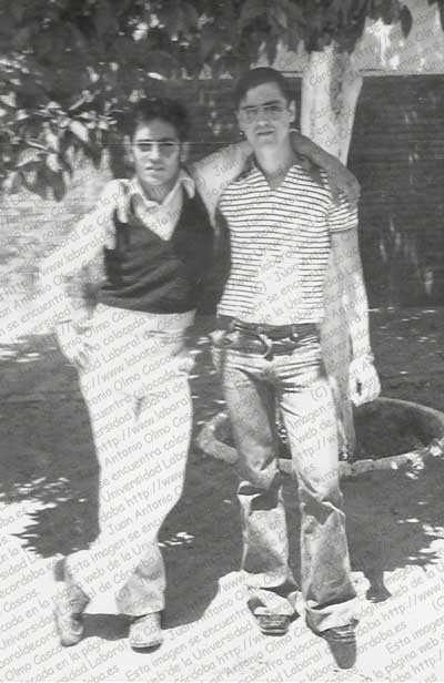 Imagen de la galería