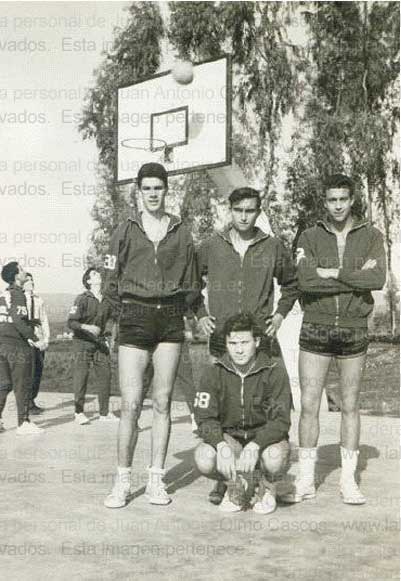 Imagen de la galería
