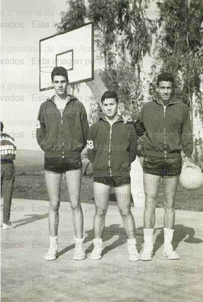 Imagen de la galería