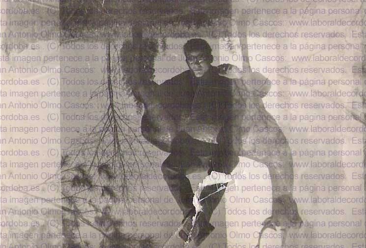 Imagen de la galería