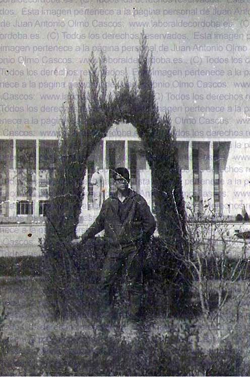 Imagen de la galería