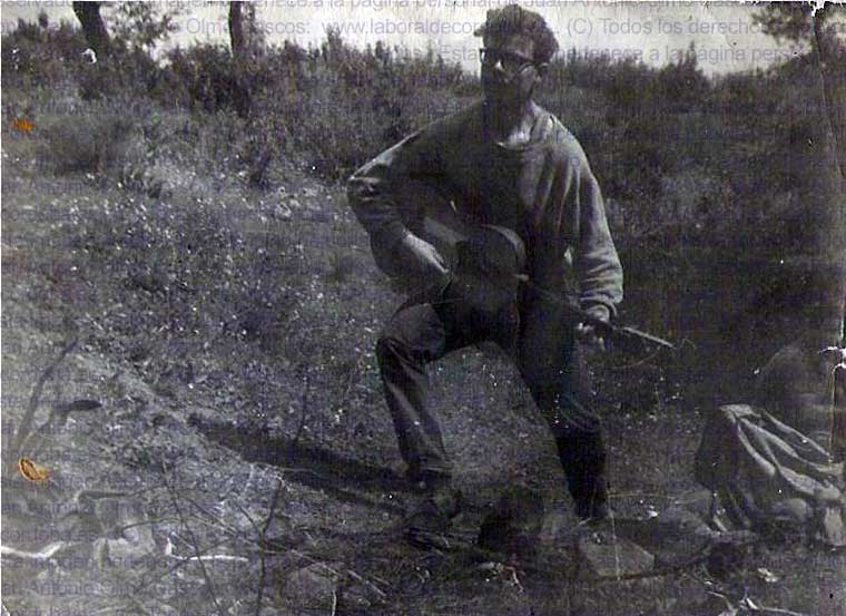 Imagen de la galería