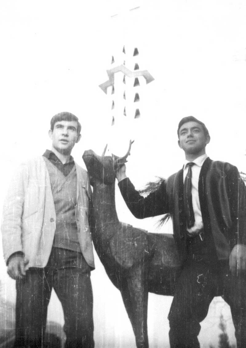 Imagen de la galería