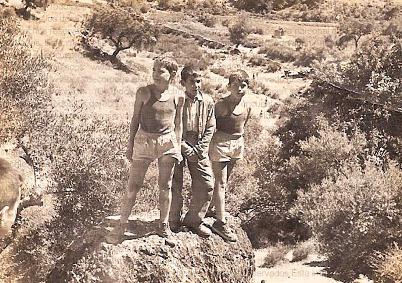 Imagen de la galería