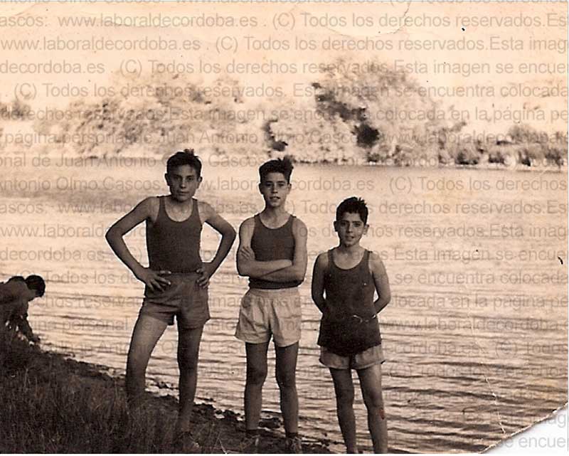 Imagen de la galería