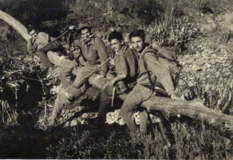 Imagen de la galería