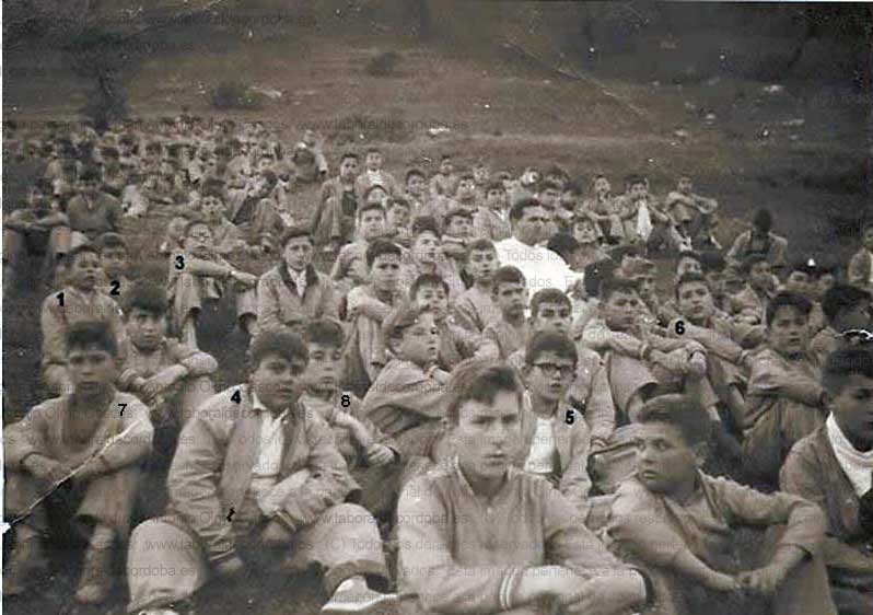 Imagen de la galería