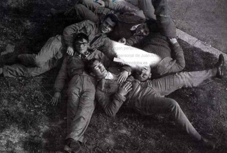 Imagen de la galería