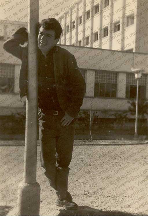 Imagen de la galería