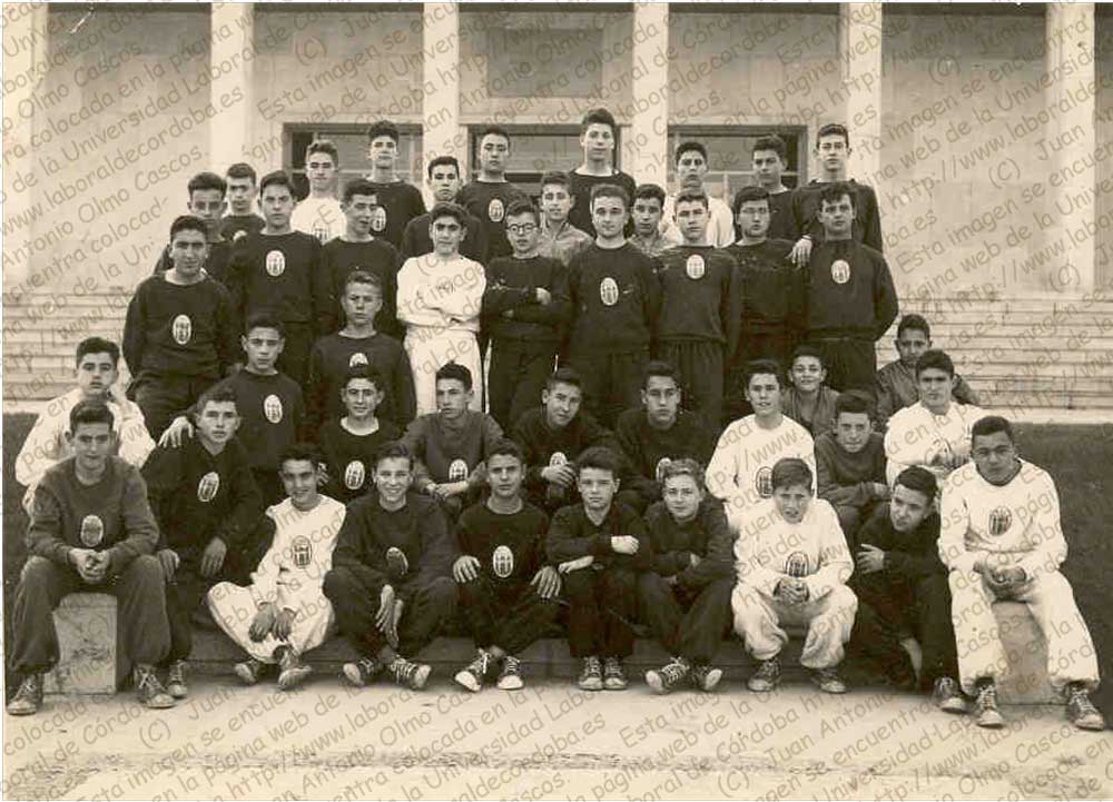 Imagen de la galería