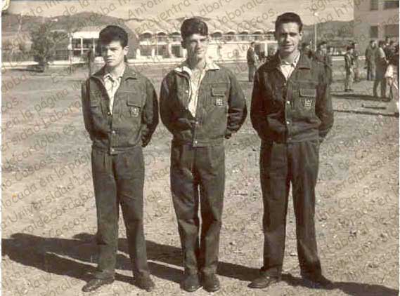 Imagen de la galería