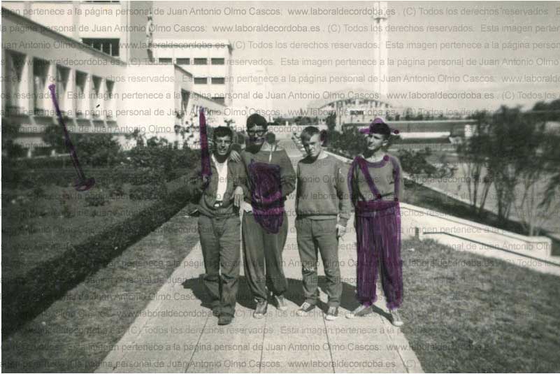 Imagen de la galería