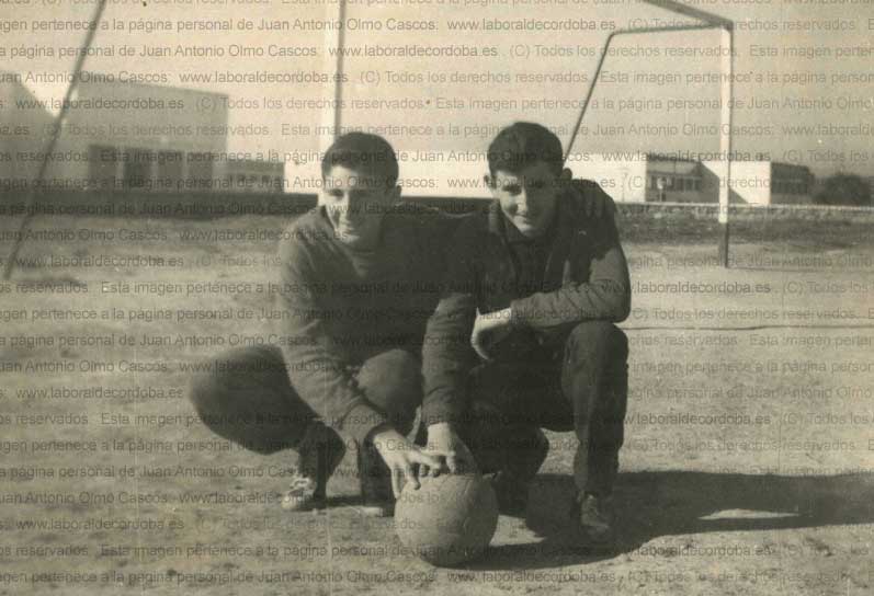 Imagen de la galería