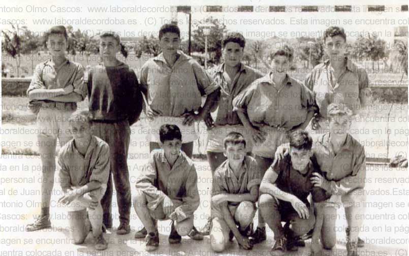 Imagen de la galería