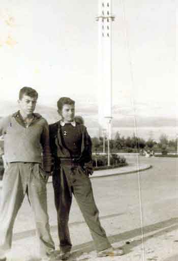 Imagen de la galería