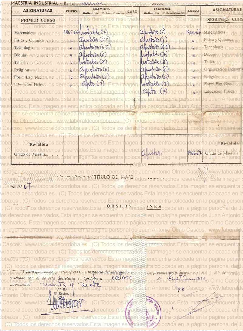 Imagen de la galería