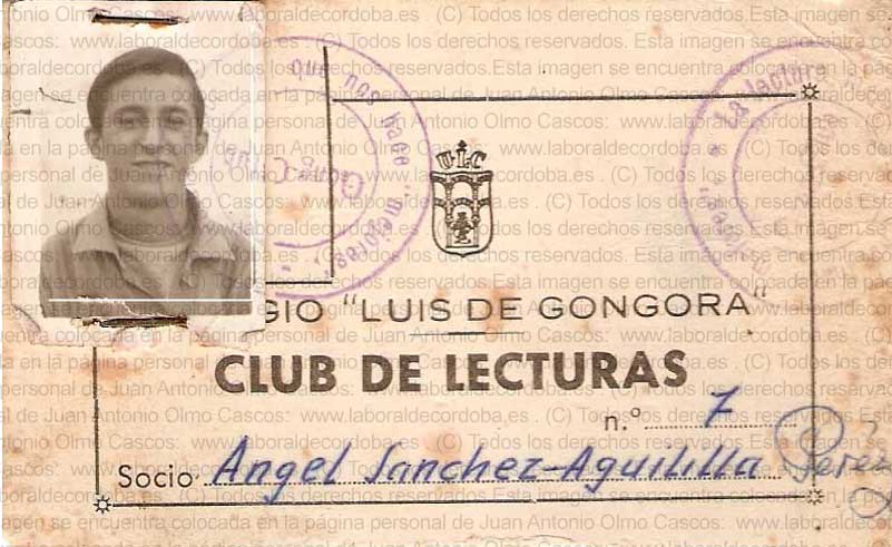 Imagen de la galería