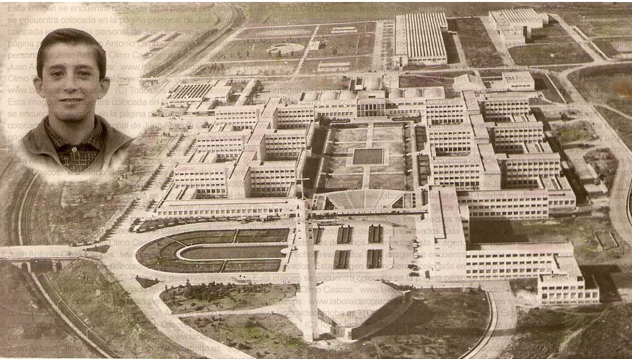 Imagen de la galería