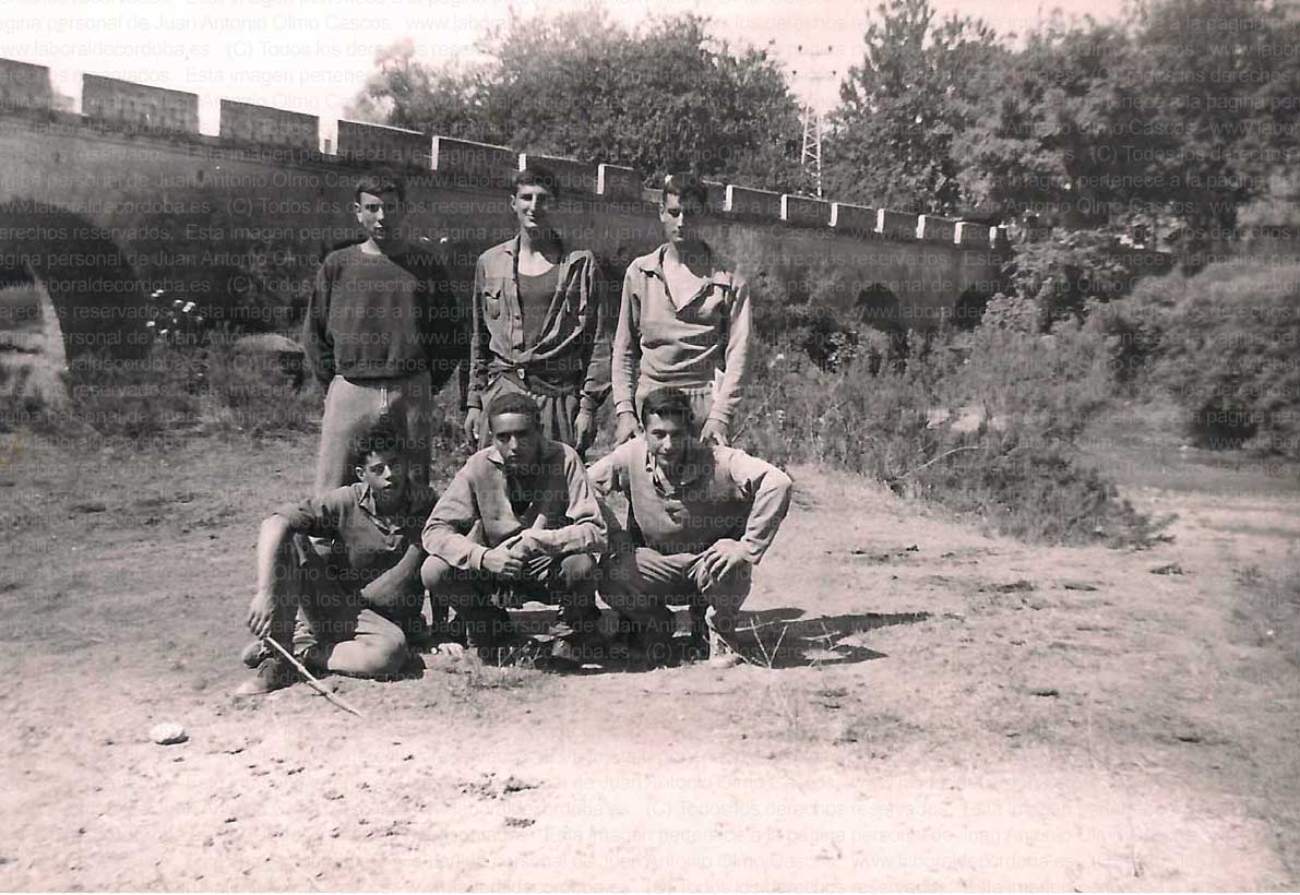 Imagen de la galería