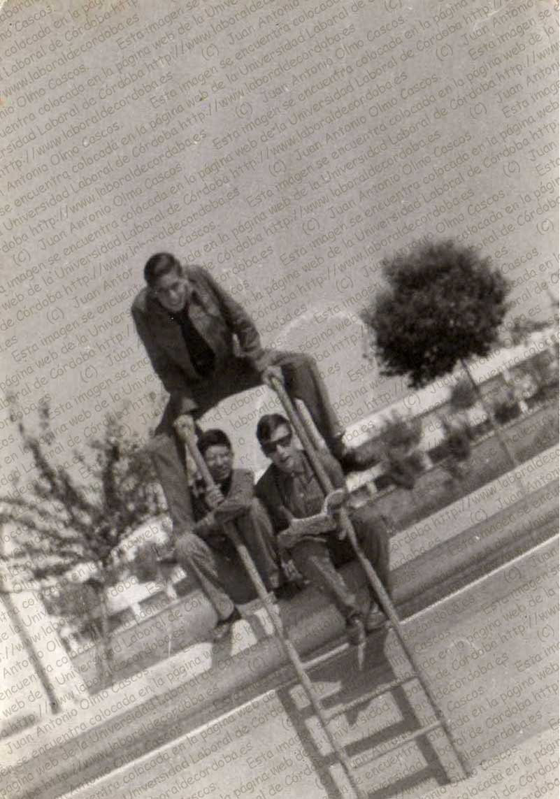 Imagen de la galería