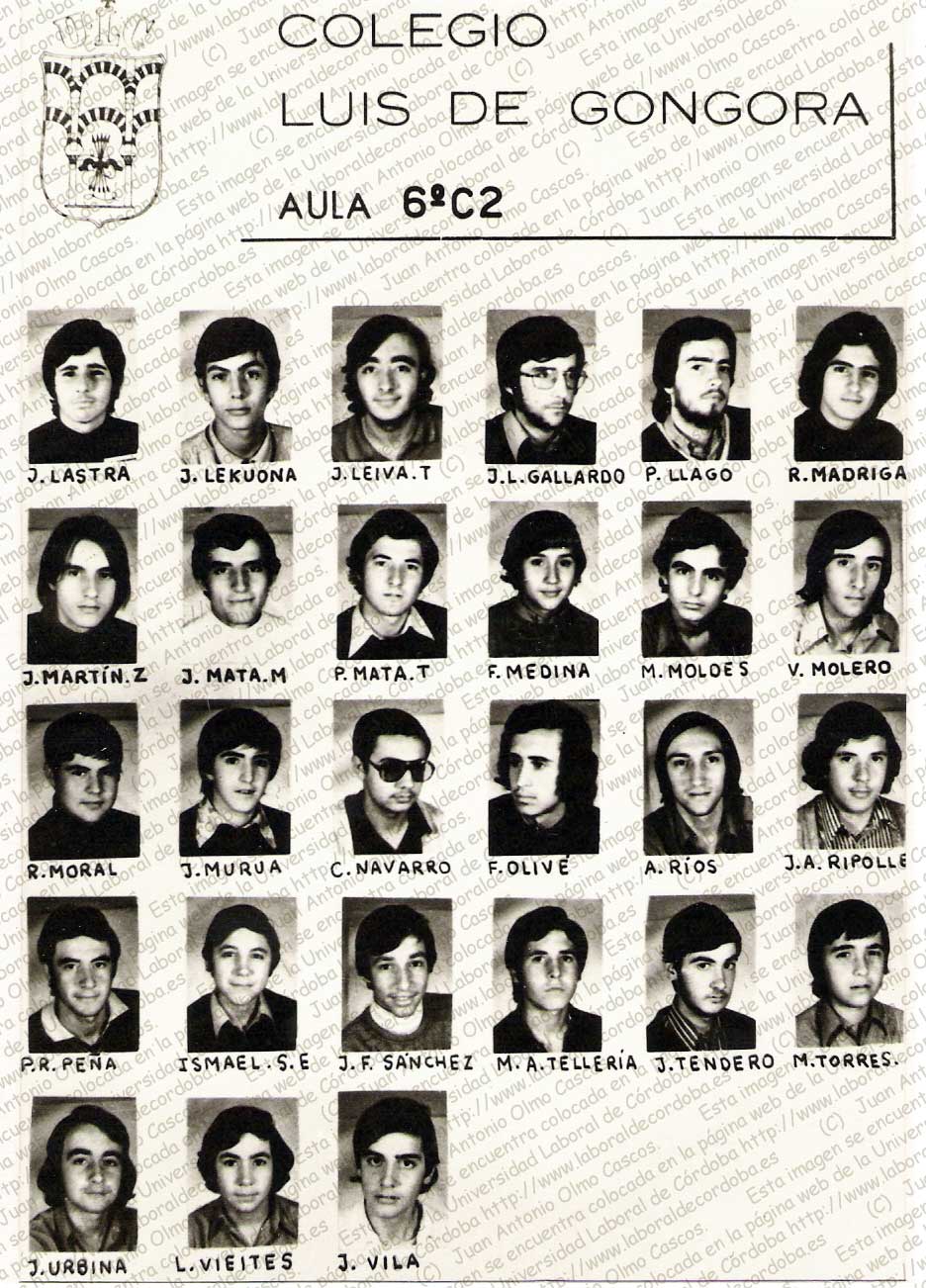 Imagen de la galería