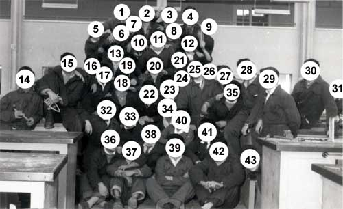 Capa numerada