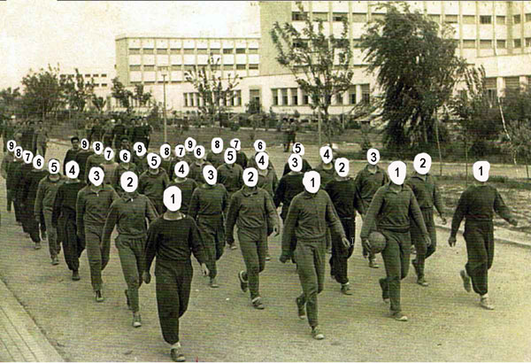 Capa numerada