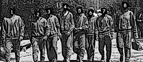 Capa numerada