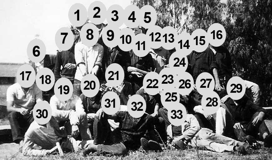 Capa numerada