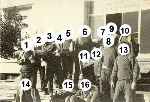 Capa numerada
